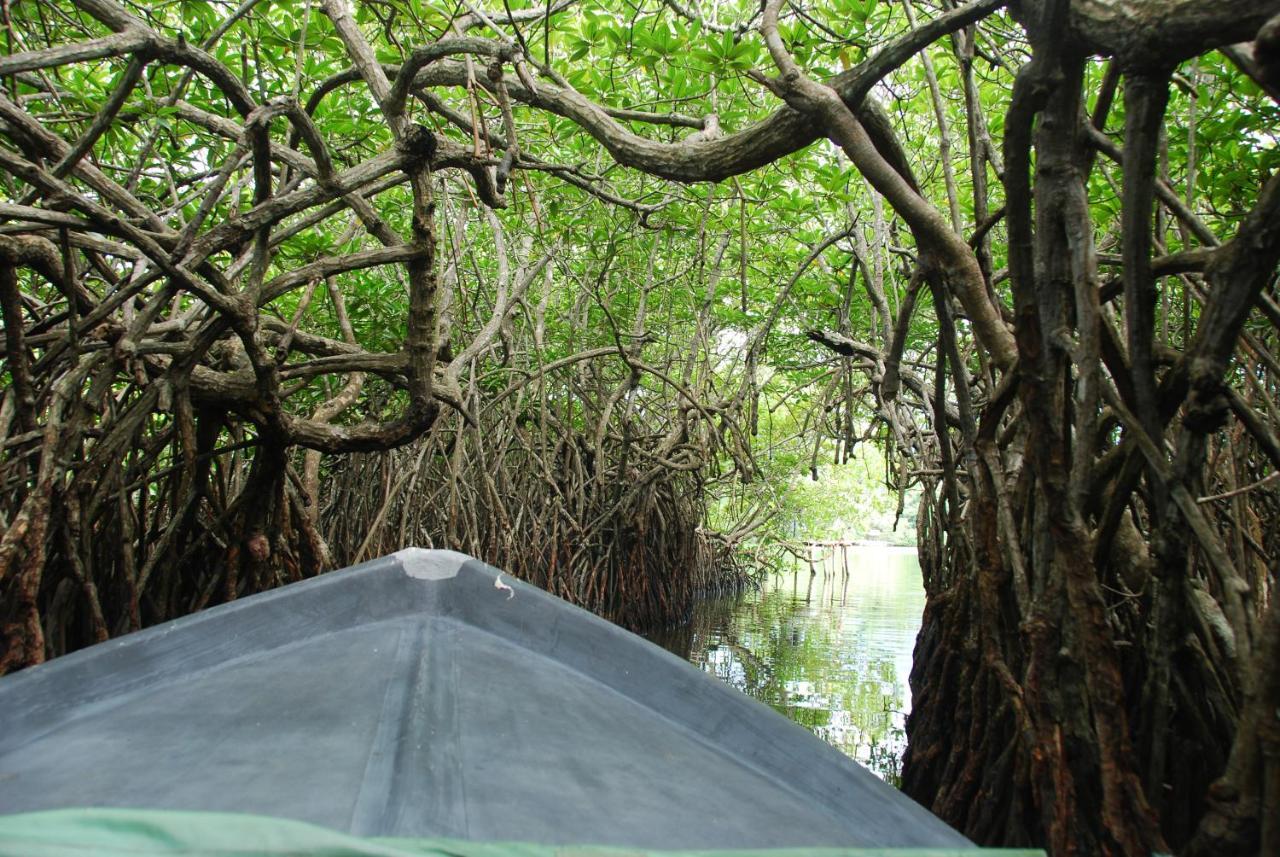 Lagoon Garden Hotel Beruwala Luaran gambar