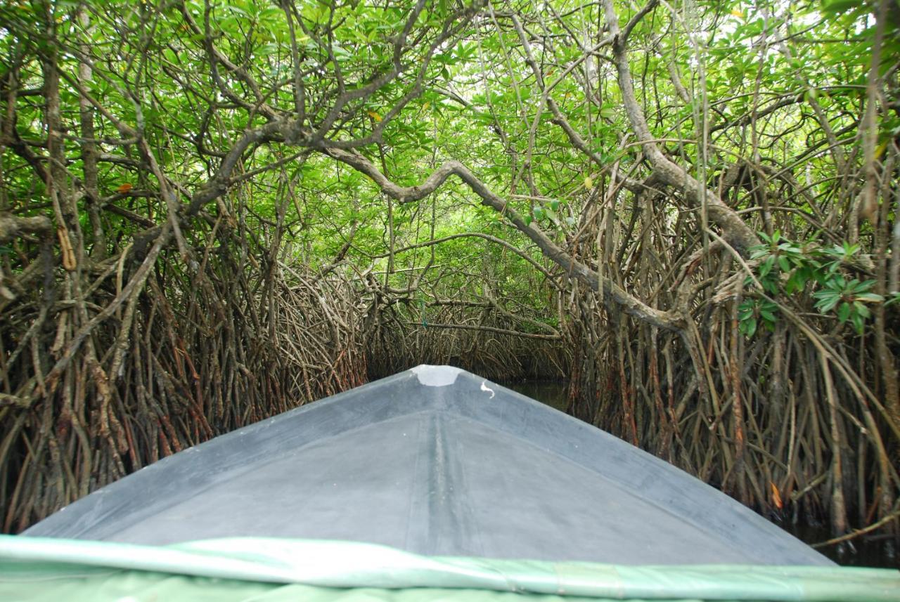 Lagoon Garden Hotel Beruwala Luaran gambar